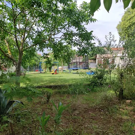 House Haler * קרניצה